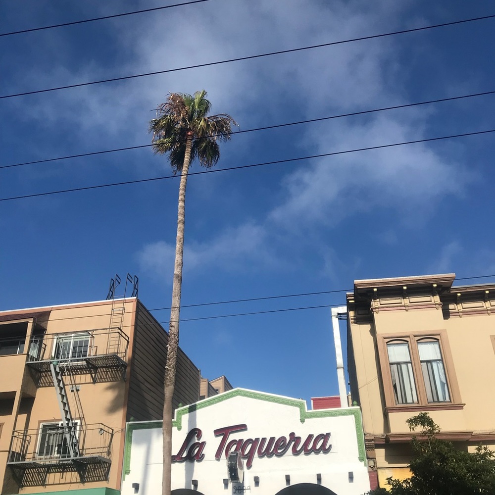 Meet your Posher, Jess